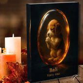 Beagle Memorial Fotoblokken