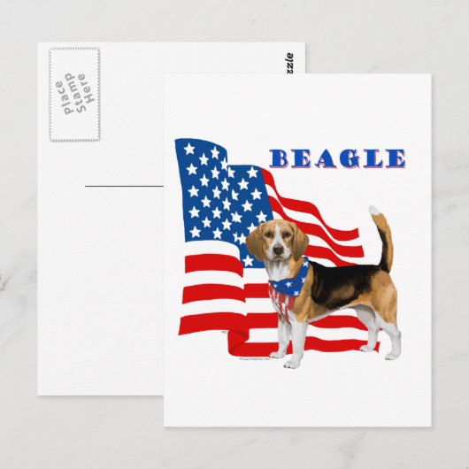 Beagle met Amerikaanse vlag Briefkaart (Voorkant / Achterkant)