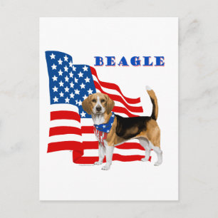 Beagle met Amerikaanse vlag Briefkaart