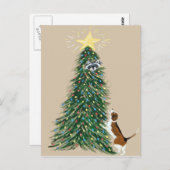 Beagle met behandelde loopnavel briefkaart (Voorkant / Achterkant)