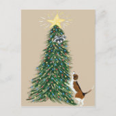 Beagle met behandelde loopnavel briefkaart (Voorkant)