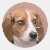 Beagle met bril ronde sticker (Voorkant)