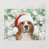 Beagle met kerstkerstmis briefkaart (Voorkant)