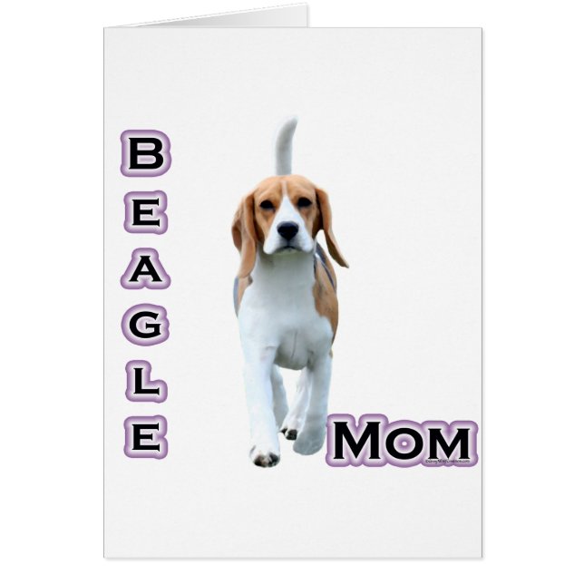 Beagle Moeder 4 (Voorkant)
