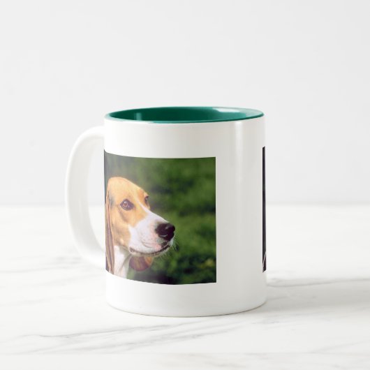 Beagle Mok (Voorkant links)