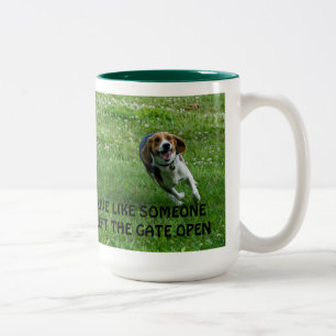 Beagle Mok