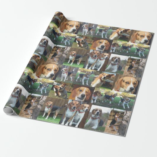 Beagle Montage Wrapping Paper to howl about Cadeaupapier (Uitgerold)