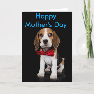 Beagle Mother's Day Card Kaart