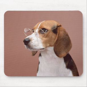 Beagle Muismat