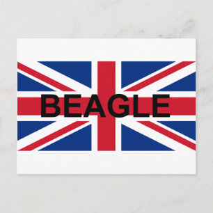 beagle name england United_Kingdom vlag Briefkaart