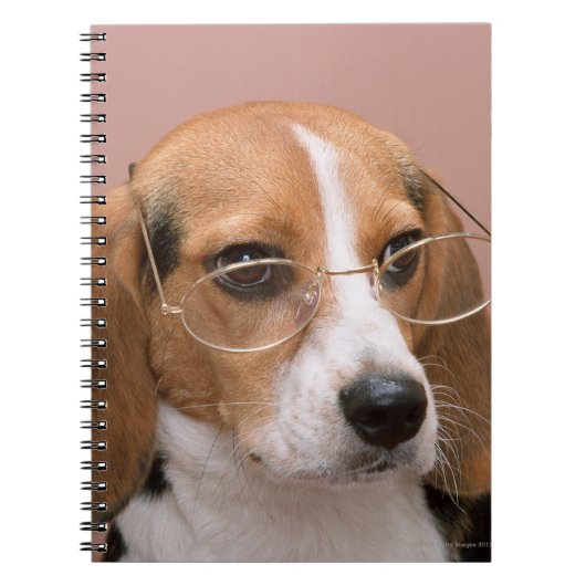 Beagle Notitieboek (Voorkant)