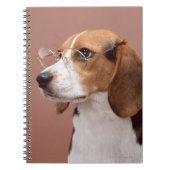 Beagle Notitieboek (Voorkant)