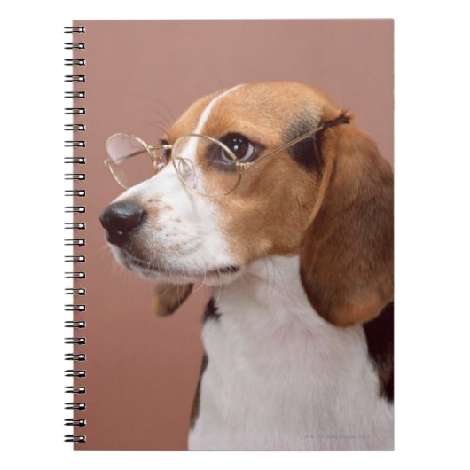 Beagle Notitieboek (Voorkant)