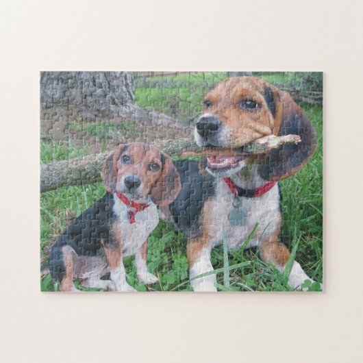 Beagle omhoog het fijn kauwen op een stok legpuzzel (Horizontaal)