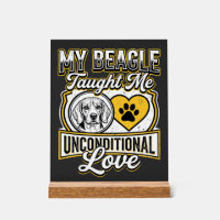 Beagle Onvoorwaardelijke Liefde Hondeneigenaar