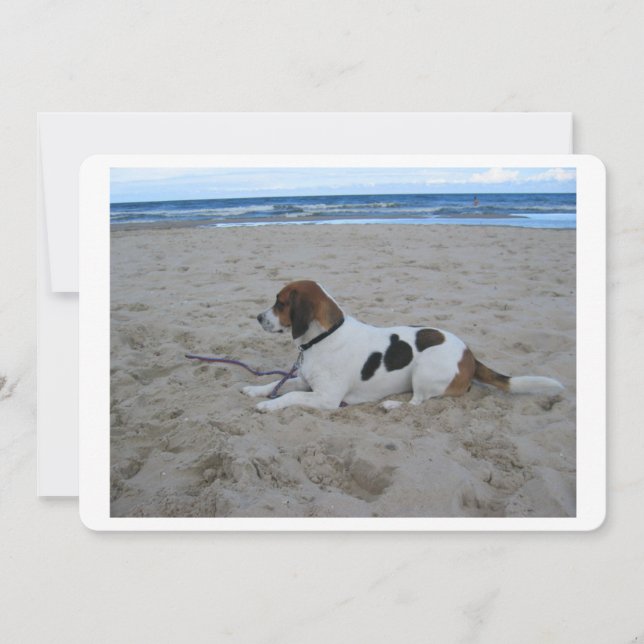 Beagle op beach.png (Voorkant)