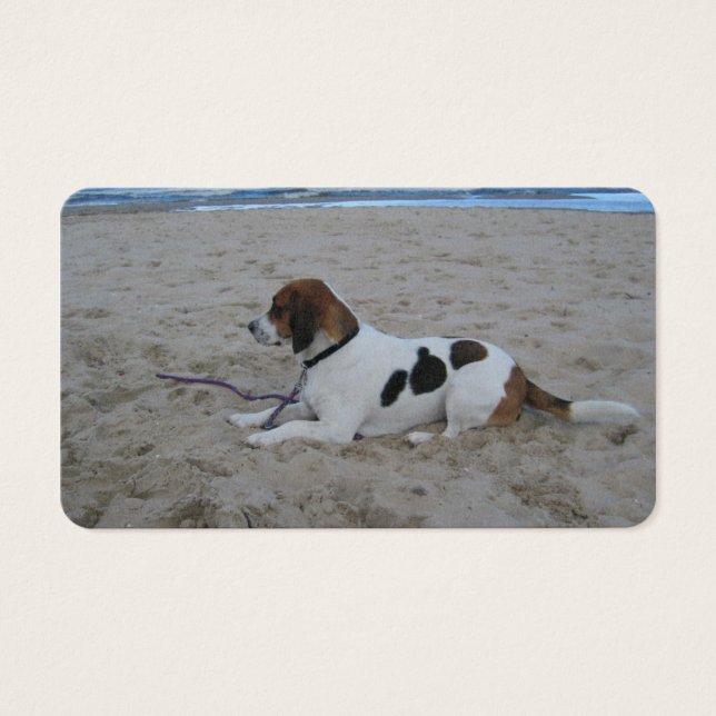 Beagle op beach.png visitekaartjes (Voorkant)