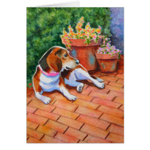 Beagle op Brick Patio