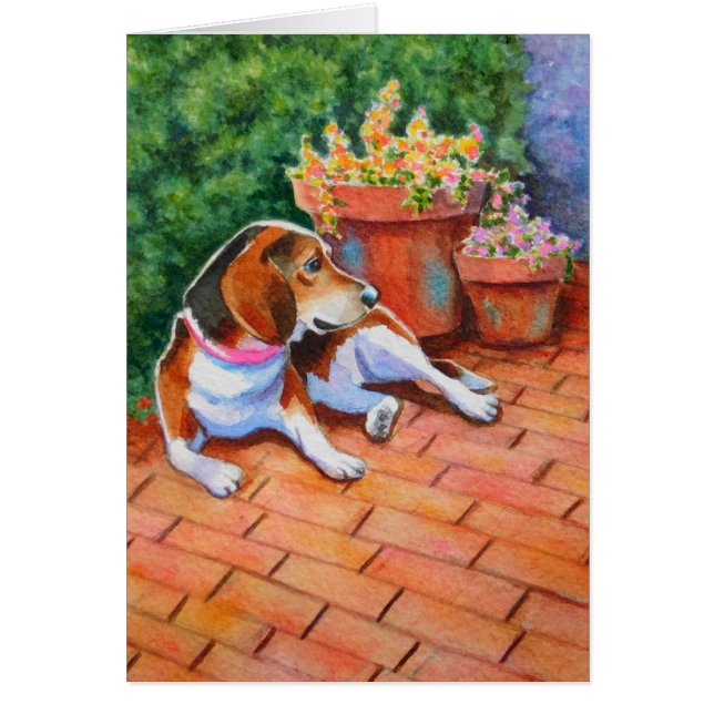 Beagle op Brick Patio (Voorkant)