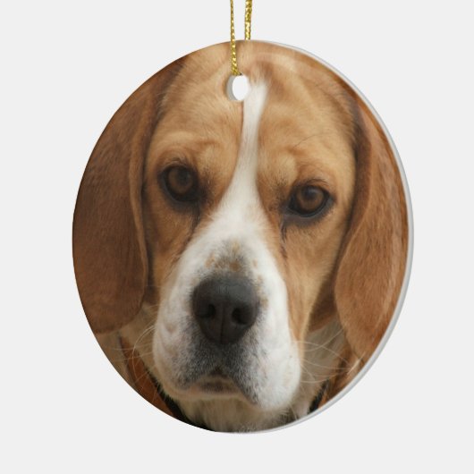 Beagle Ornament (Links)