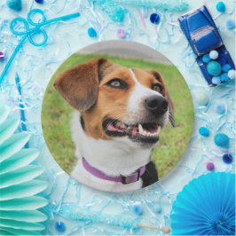 Beagle Papieren Bordje