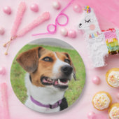 Beagle Papieren Bordje (Feest)