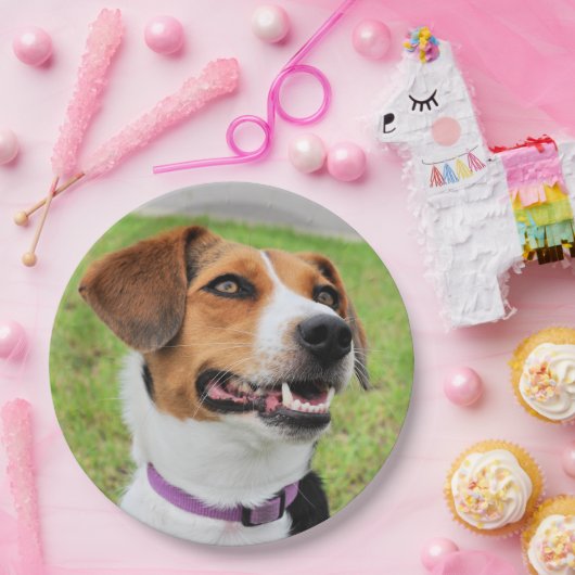 Beagle Papieren Bordje (Feest)