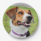 Beagle Papieren Bordje (Voorkant)