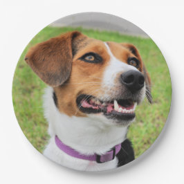 Beagle Papieren Bordje