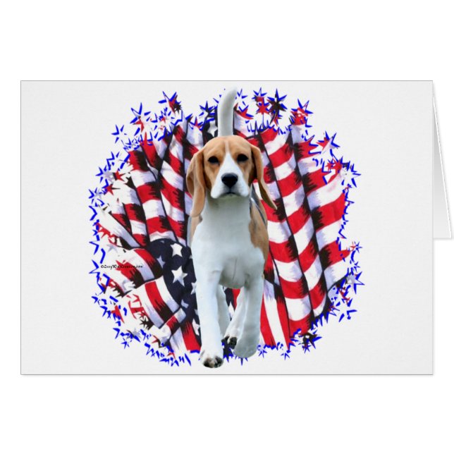 Beagle Patriot (Voorkant Horizontaal)