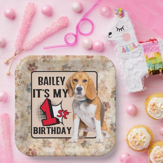 Beagle Persoonlijke 1e verjaardag Papieren Bordje (Feest)