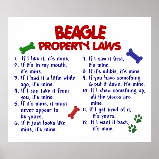 BEAGLE PL2 POSTER (Voorkant)