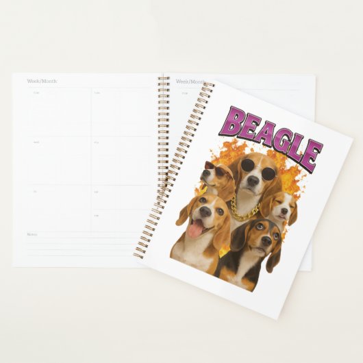 Beagle planner (Display)