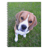 Beagle Portrait Notitieboek (Voorkant)