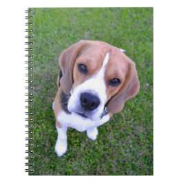 Beagle Portrait Notitieboek