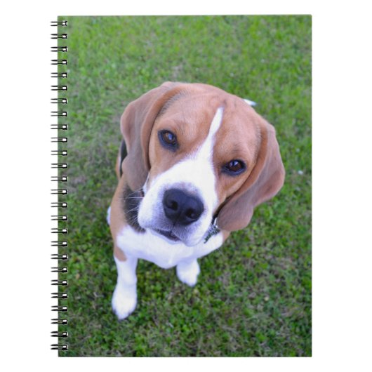 Beagle Portrait Notitieboek (Voorkant)