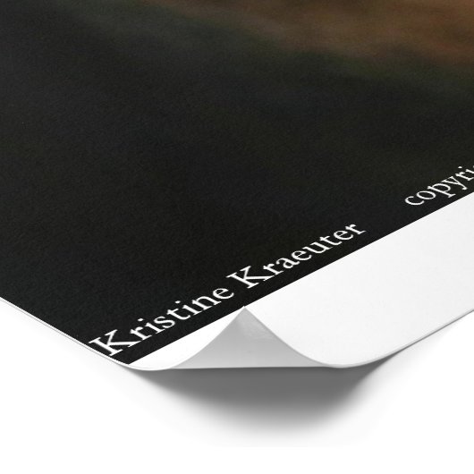 Beagle Portrait Poster (Hoek)