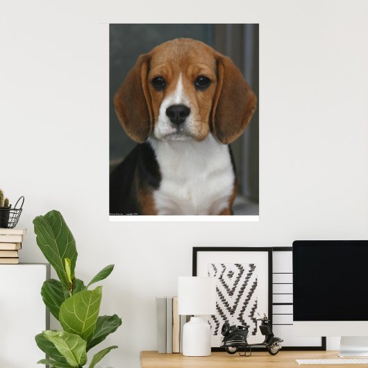 Beagle Portrait Poster (Thuiskantoor)