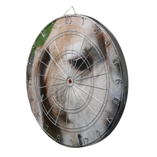 beagle portret dartbord (Voorkant Rechts)