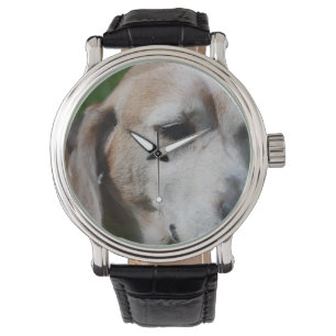 beagle portret horloge