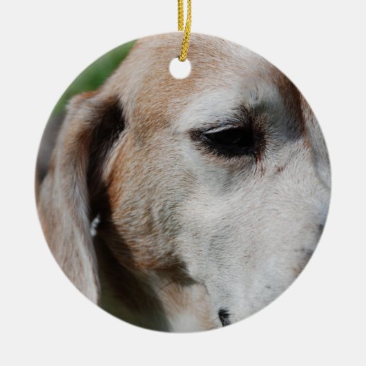 beagle portret keramisch ornament (Voorkant)