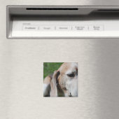 beagle portret magneet (Insitu (Vaatwasser))