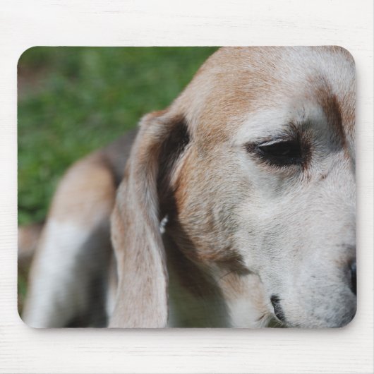 beagle portret muismat (Voorkant)
