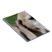 beagle portret notitieboek (Rechterzijde)