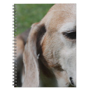 beagle portret notitieboek