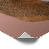 Beagle Poster (Hoek)