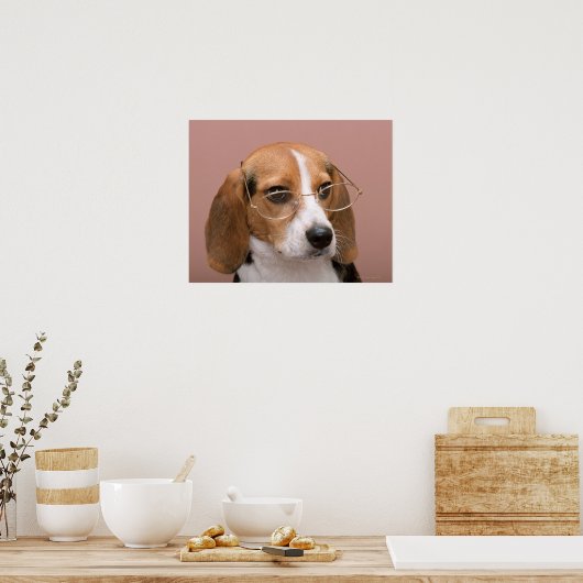Beagle Poster (Keuken)