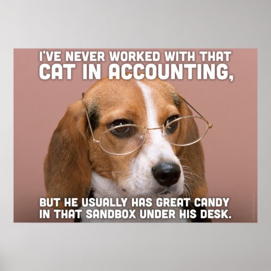 Beagle Poster (Voorkant)