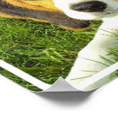 Beagle Poster Print (Hoek)