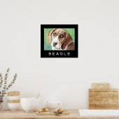 Beagle Posters (Keuken)